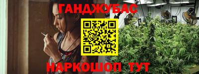 не бодяженный Кингисепп