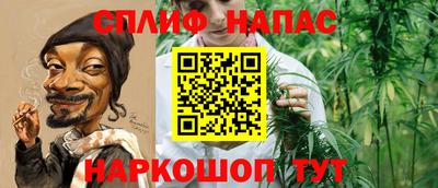 не бодяженный Кингисепп